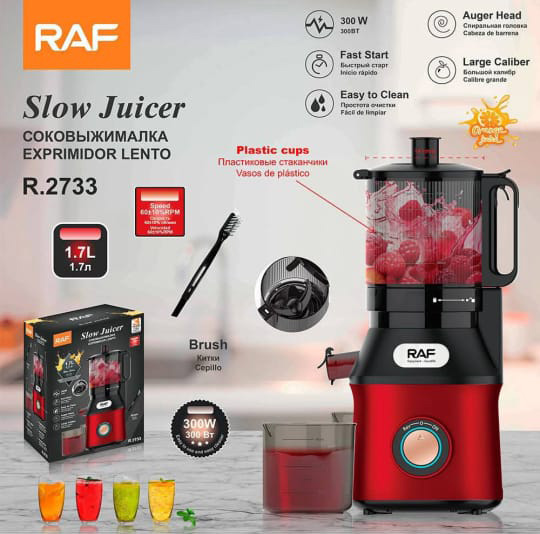 Slow Juicer